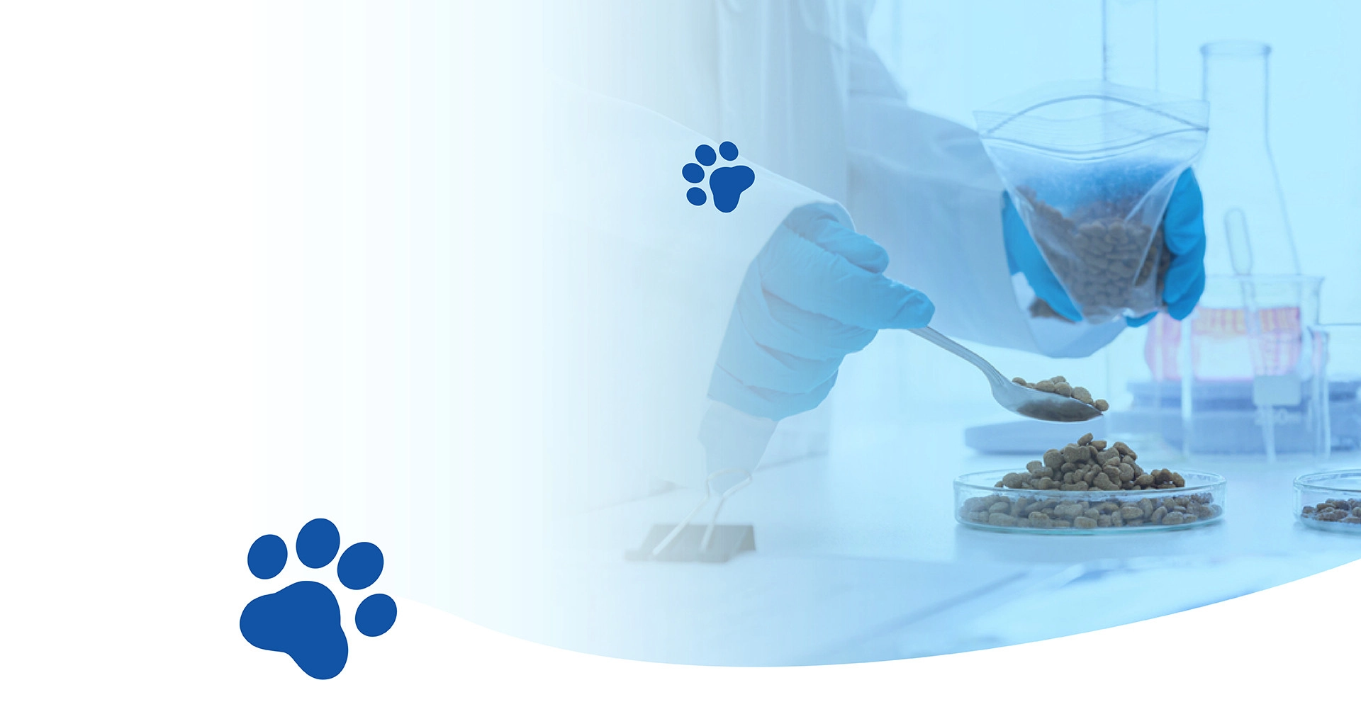 banner-website-03-3