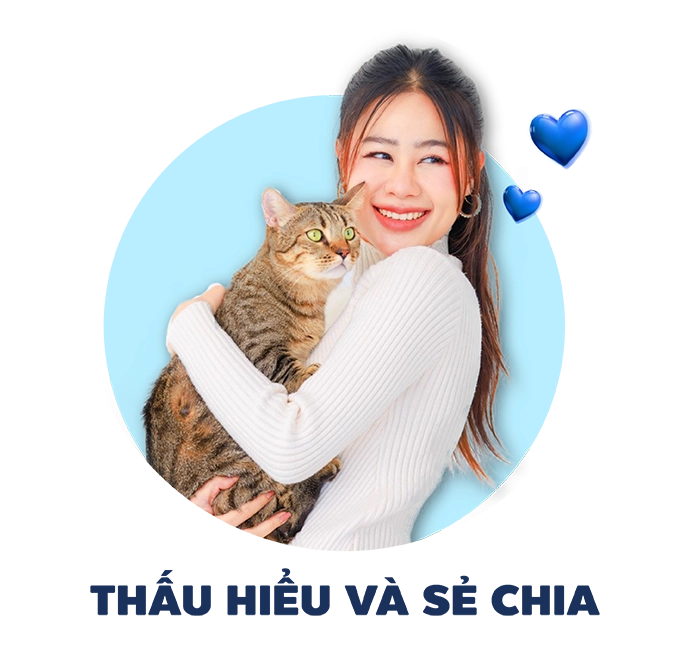 cau-chuyen-va-lich-su-hinh-thanh-01-1
