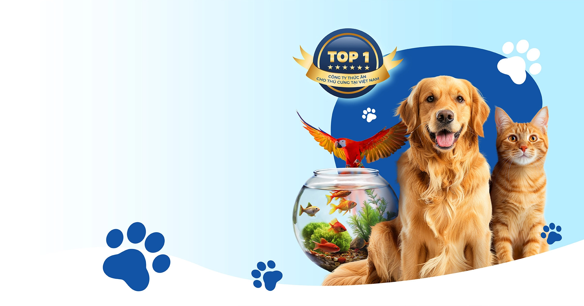 banner-website-01-11