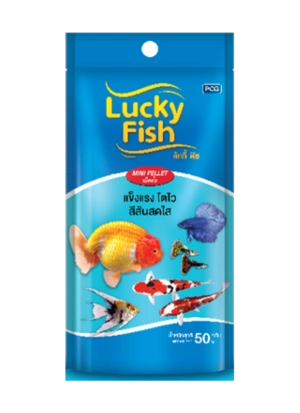 lucky-fish