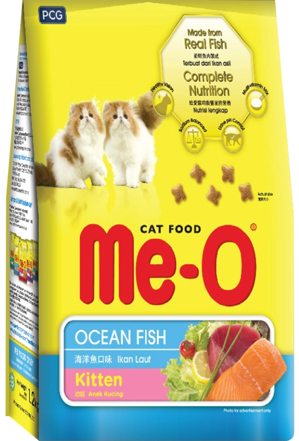 meo-kitten-new