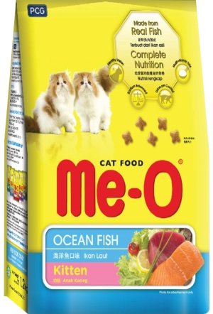 meo-kitten-new