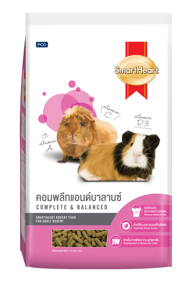 rodent-moi-large