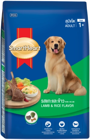 sh-adult-lamp-and-rice-1