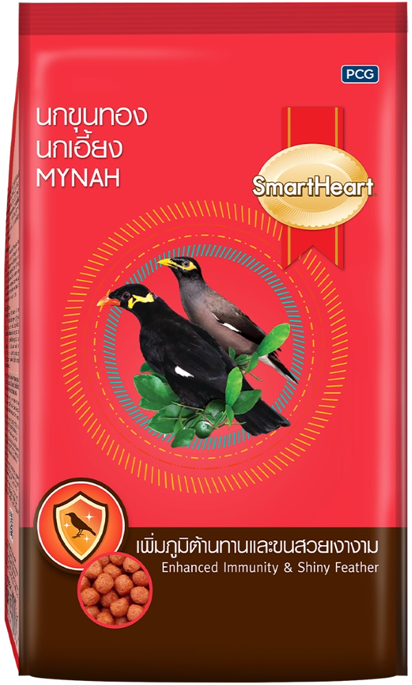 sh-chim-canh-sao-nhong