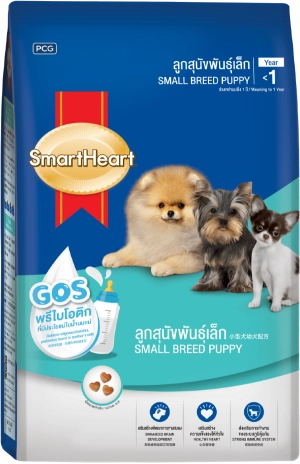 sh-breed-puppy-1