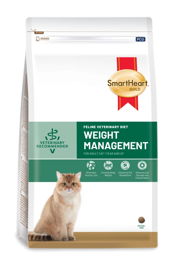 vet-cat-product-02