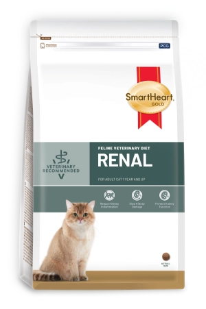 vet-cat-product-03
