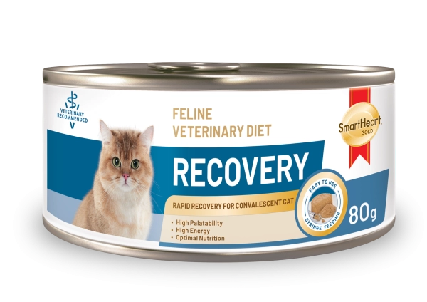 vet-cat-product-05
