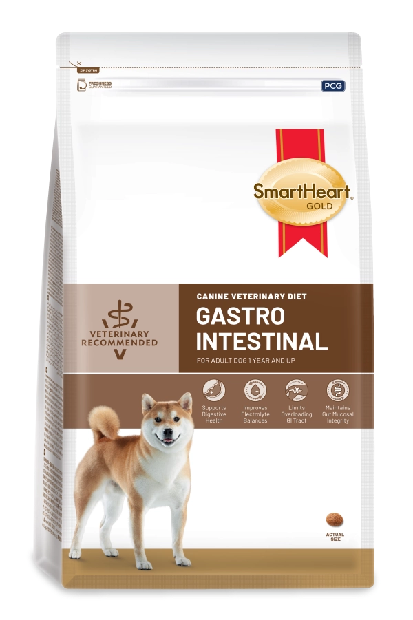 vet-dog-product-01