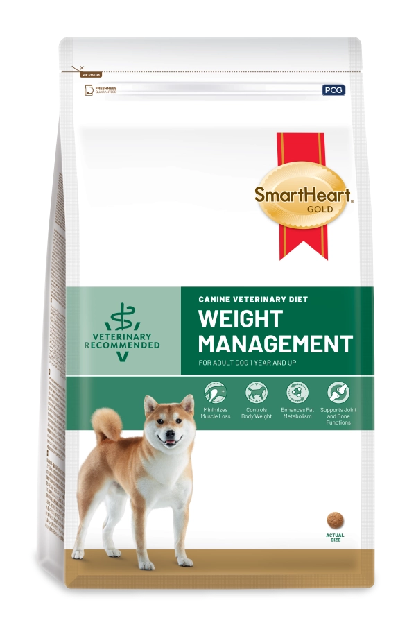 vet-dog-product-02