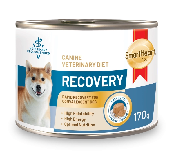 vet-dog-product-05