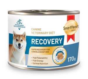 vet-dog-product-05