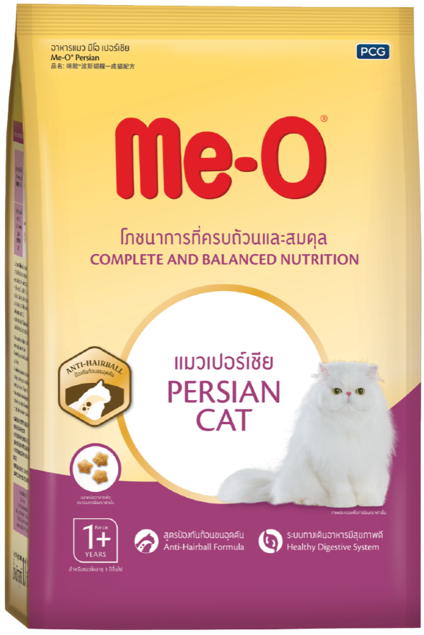 me-o-persian-cat-large