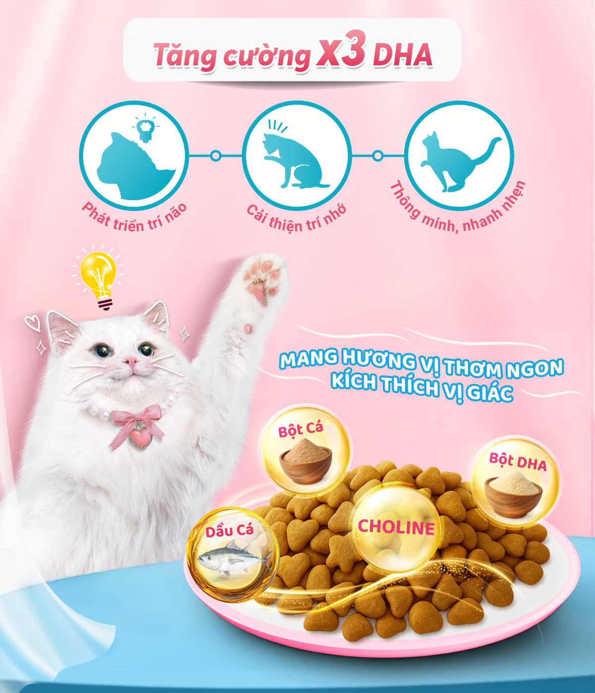 anh-4-kitten-adulttriet-san-chong-bui-long