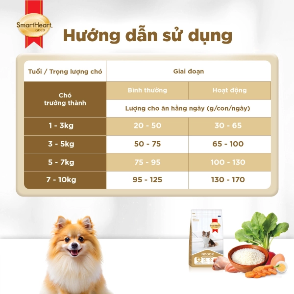 hinh-10-adult-1