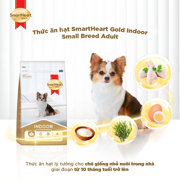 hinh-2-adult-1
