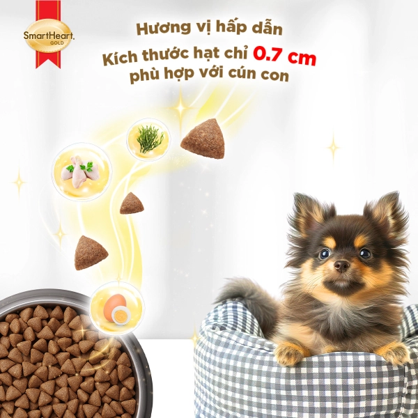 hinh-6-puppy-1