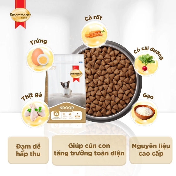 hinh-8-puppy-1