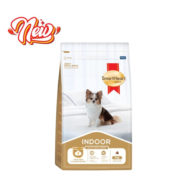 hinh-website-indoor-01-1
