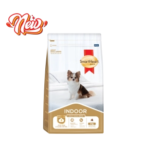 hinh-website-indoor-01-1