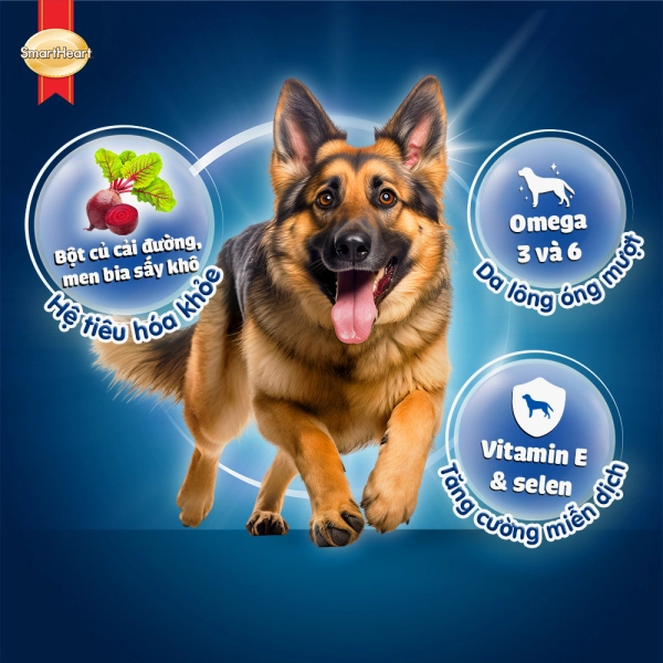 hinh04-usppp-adult